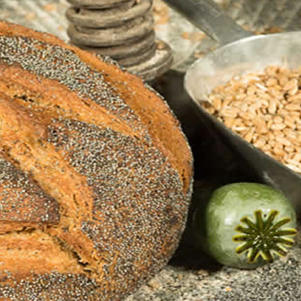 Agriculture Bio, vente de produits localement